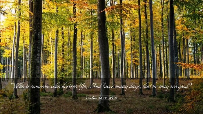 Picture 03 - Psalms 34:12 WEB Desktop Wallpaper - Who is someone who desires life, And loves many - Desktop Bible Verse Wallpaper