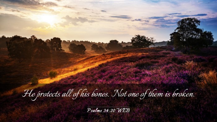 Picture 03 - Psalms 34:20 WEB Desktop Wallpaper - He protects all of his bones. Not one of them is - Desktop Bible Verse Wallpaper