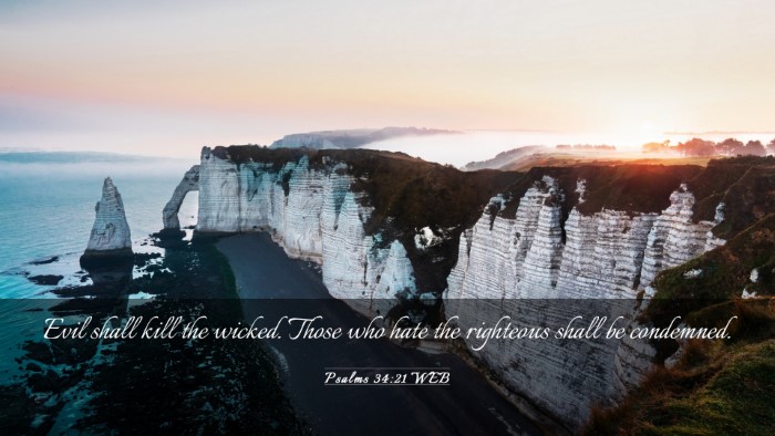 Picture 03 - Psalms 34:21 WEB Desktop Wallpaper - Evil shall kill the wicked. Those who hate the - Desktop Bible Verse Wallpaper