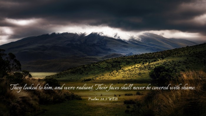Picture 03 - Psalms 34:5 WEB Desktop Wallpaper - They looked to him, and were radiant. Their faces - Desktop Bible Verse Wallpaper