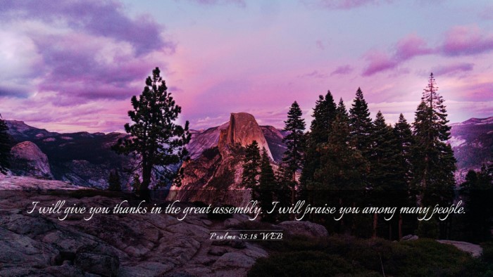Picture 03 - Psalms 35:18 WEB Desktop Wallpaper - I will give you thanks in the great assembly. I - Desktop Bible Verse Wallpaper