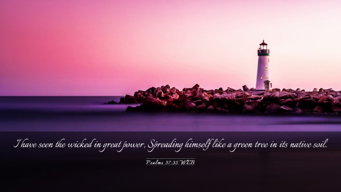 Picture 03 - Psalms 37:35 WEB Desktop Wallpaper - I have seen the wicked in great power, Spreading - Desktop Bible Verse Wallpaper
