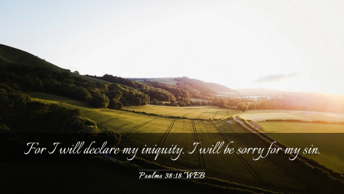 Picture 03 - Psalms 38:18 WEB Desktop Wallpaper - For I will declare my iniquity. I will be sorry - Desktop Bible Verse Wallpaper