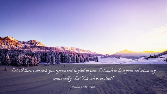 Picture 03 - Psalms 40:16 WEB Desktop Wallpaper - Let all those who seek you rejoice and be glad in - Desktop Bible Verse Wallpaper
