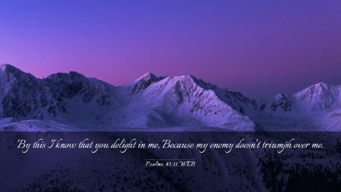 Picture 03 - Psalms 41:11 WEB Desktop Wallpaper - By this I know that you delight in me, Because my - Desktop Bible Verse Wallpaper