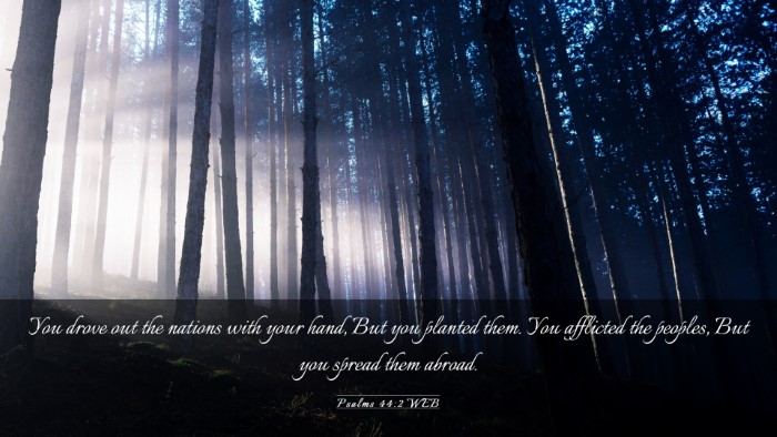 Picture 03 - Psalms 44:2 WEB Desktop Wallpaper - You drove out the nations with your hand, But you - Desktop Bible Verse Wallpaper