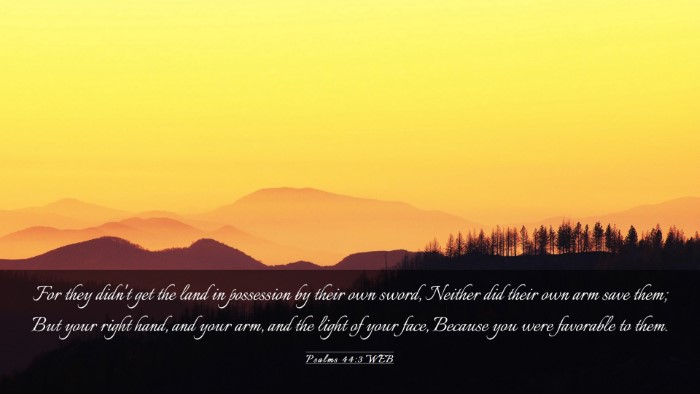Picture 03 - Psalms 44:3 WEB Desktop Wallpaper - For they didn't get the land in possession by - Desktop Bible Verse Wallpaper