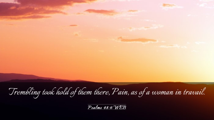 Picture 03 - Psalms 48:6 WEB Desktop Wallpaper - Trembling took hold of them there, Pain, as of a - Desktop Bible Verse Wallpaper