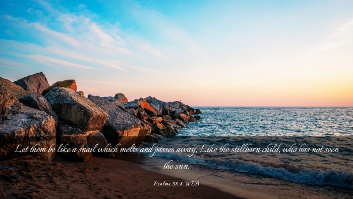 Picture 03 - Psalms 58:8 WEB Desktop Wallpaper - Let them be like a snail which melts and passes - Desktop Bible Verse Wallpaper