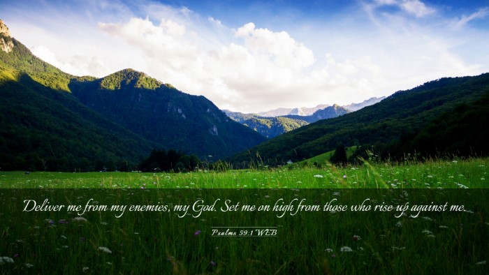 Picture 03 - Psalms 59:1 WEB Desktop Wallpaper - Deliver me from my enemies, my God. Set me on - Desktop Bible Verse Wallpaper