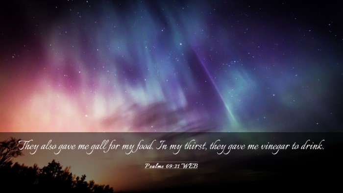 Picture 03 - Psalms 69:21 WEB Desktop Wallpaper - They also gave me gall for my food. In my thirst, - Desktop Bible Verse Wallpaper