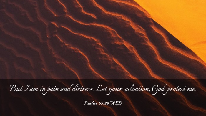 Picture 03 - Psalms 69:29 WEB Desktop Wallpaper - But I am in pain and distress. Let your - Desktop Bible Verse Wallpaper