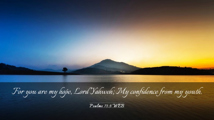 Picture 03 - Psalms 71:5 WEB Desktop Wallpaper - For you are my hope, Lord Yahweh; My confidence - Desktop Bible Verse Wallpaper