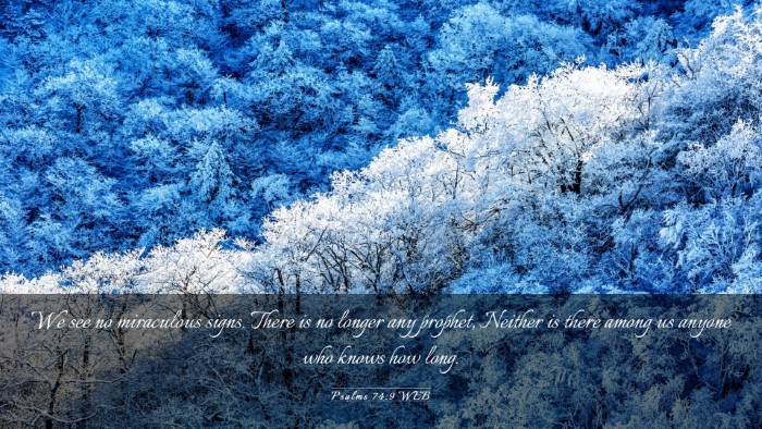 Picture 03 - Psalms 74:9 WEB Desktop Wallpaper - We see no miraculous signs. There is no longer - Desktop Bible Verse Wallpaper