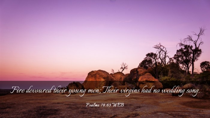 Picture 03 - Psalms 78:63 WEB Desktop Wallpaper - Fire devoured their young men; Their virgins had - Desktop Bible Verse Wallpaper
