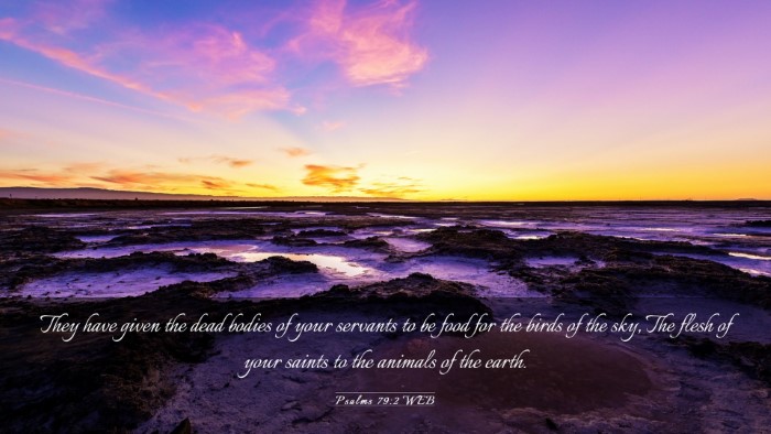 Picture 03 - Psalms 79:2 WEB Desktop Wallpaper - They have given the dead bodies of your servants - Desktop Bible Verse Wallpaper