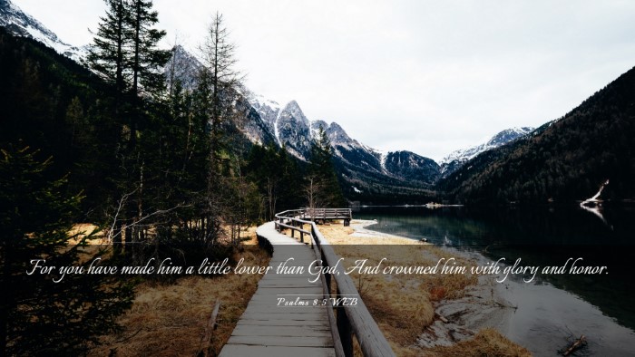 Picture 03 - Psalms 8:5 WEB Desktop Wallpaper - For you have made him a little lower than God, - Desktop Bible Verse Wallpaper