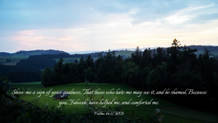 Picture 03 - Psalms 86:17 WEB Desktop Wallpaper - Show me a sign of your goodness, That those who - Desktop Bible Verse Wallpaper