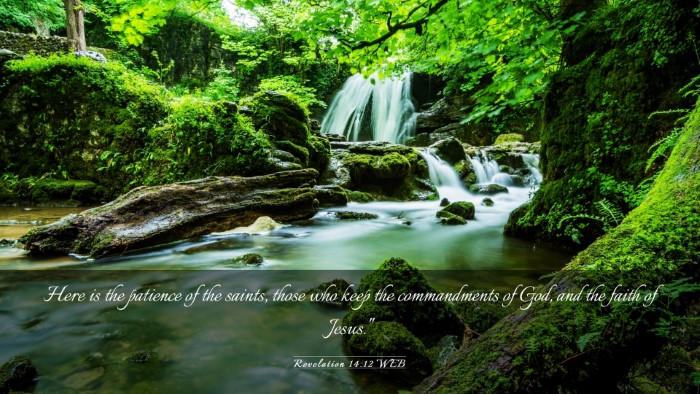 Picture 03 - Revelation 14:12 WEB Desktop Wallpaper - Here is the patience of the saints, those who - Desktop Bible Verse Wallpaper