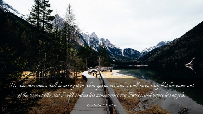 Picture 03 - Revelation 3:5 WEB Desktop Wallpaper - He who overcomes will be arrayed in white - Desktop Bible Verse Wallpaper