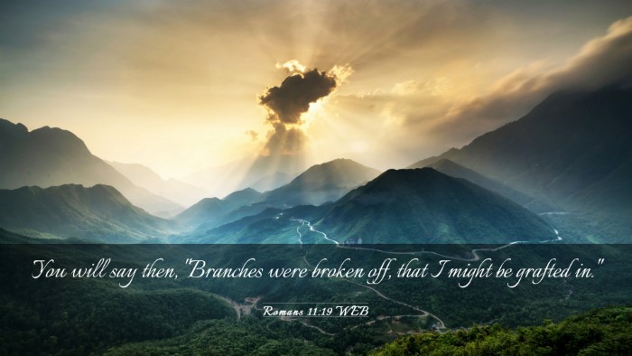 Picture 03 - Romans 11:19 WEB Desktop Wallpaper - You will say then, 