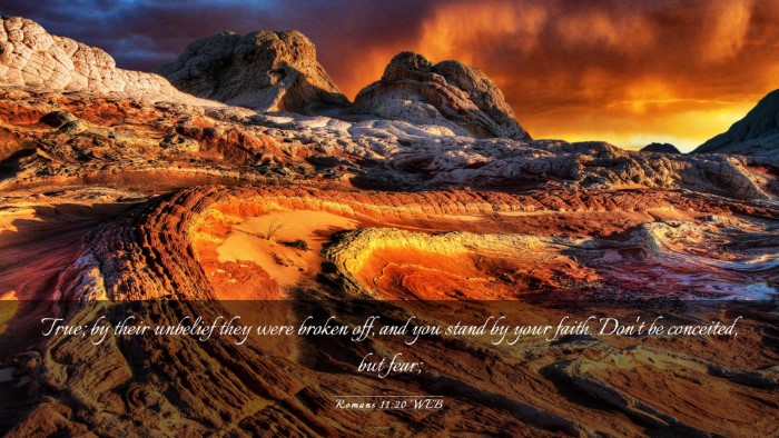Picture 03 - Romans 11:20 WEB Desktop Wallpaper - True; by their unbelief they were broken off, and - Desktop Bible Verse Wallpaper
