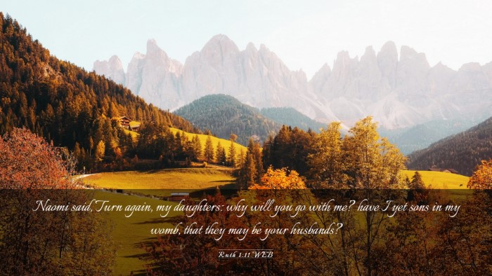 Picture 03 - Ruth 1:11 WEB Desktop Wallpaper - Naomi said, Turn again, my daughters: why will - Desktop Bible Verse Wallpaper