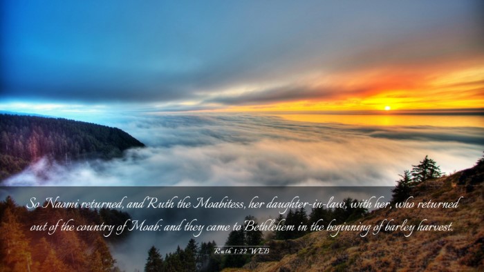 Picture 03 - Ruth 1:22 WEB Desktop Wallpaper - So Naomi returned, and Ruth the Moabitess, her - Desktop Bible Verse Wallpaper
