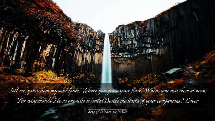 Picture 03 - Song of Solomon 1:7 WEB Desktop Wallpaper - Tell me, you whom my soul loves, Where you graze - Desktop Bible Verse Wallpaper