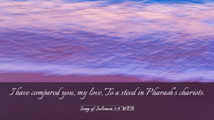 Picture 03 - Song of Solomon 1:9 WEB Desktop Wallpaper - I have compared you, my love, To a steed in - Desktop Bible Verse Wallpaper