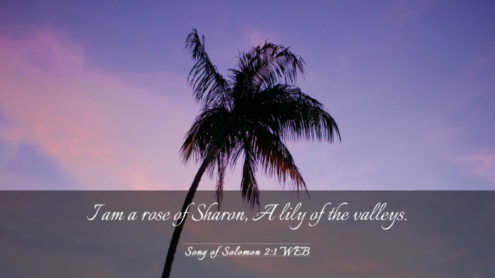 Picture 03 - Song of Solomon 2:1 WEB Desktop Wallpaper - I am a rose of Sharon, A lily of the - Desktop Bible Verse Wallpaper