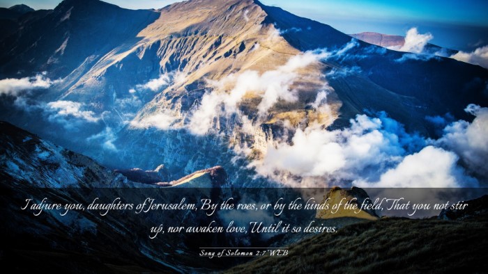 Picture 03 - Song of Solomon 2:7 WEB Desktop Wallpaper - I adjure you, daughters of Jerusalem, By the - Desktop Bible Verse Wallpaper