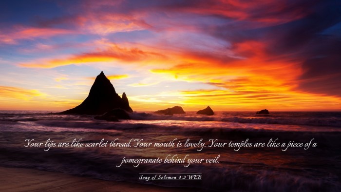 Picture 03 - Song of Solomon 4:3 WEB Desktop Wallpaper - Your lips are like scarlet thread. Your mouth is - Desktop Bible Verse Wallpaper