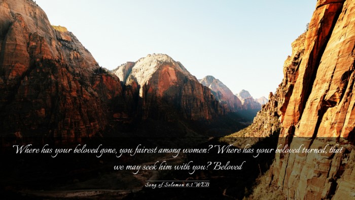 Picture 03 - Song of Solomon 6:1 WEB Desktop Wallpaper - Where has your beloved gone, you fairest among - Desktop Bible Verse Wallpaper