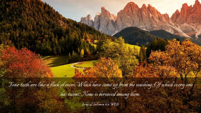 Picture 03 - Song of Solomon 6:6 WEB Desktop Wallpaper - Your teeth are like a flock of ewes, Which have - Desktop Bible Verse Wallpaper