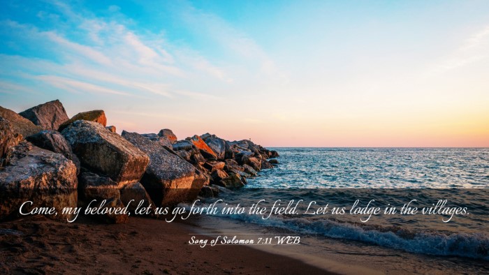 Picture 03 - Song of Solomon 7:11 WEB Desktop Wallpaper - Come, my beloved, let us go forth into the field. - Desktop Bible Verse Wallpaper