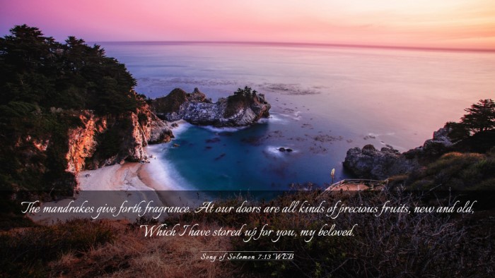 Picture 03 - Song of Solomon 7:13 WEB Desktop Wallpaper - The mandrakes give forth fragrance. At our doors - Desktop Bible Verse Wallpaper