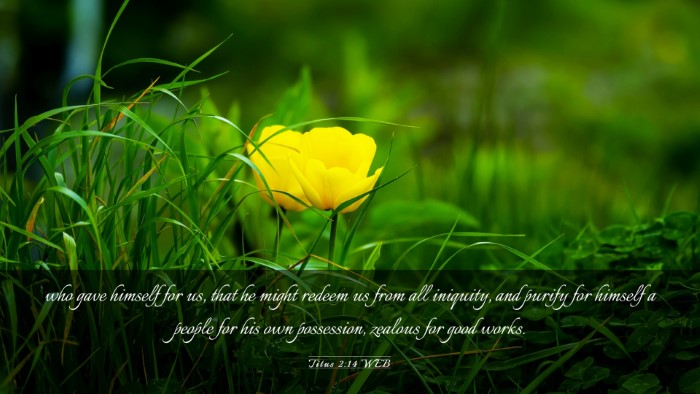 Picture 03 - Titus 2:14 WEB Desktop Wallpaper - who gave himself for us, that he might redeem us - Desktop Bible Verse Wallpaper
