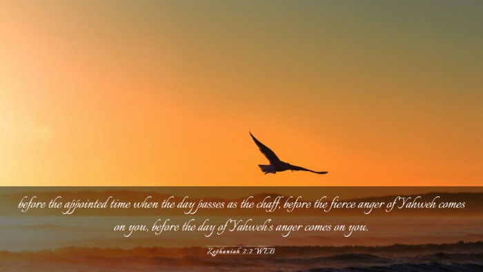 Picture 03 - Zephaniah 2:2 WEB Desktop Wallpaper - before the appointed time when the day passes as - Desktop Bible Verse Wallpaper