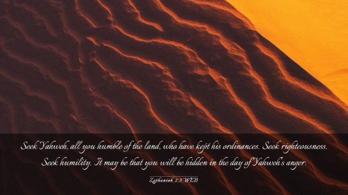 Picture 03 - Zephaniah 2:3 WEB Desktop Wallpaper - Seek Yahweh, all you humble of the land, who have - Desktop Bible Verse Wallpaper