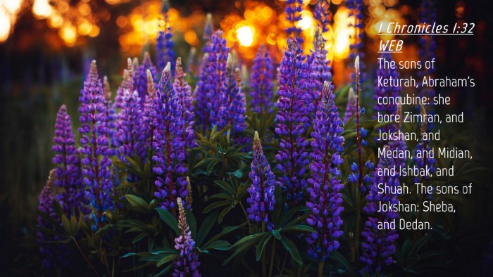 Picture 04 - 1 Chronicles 1:32 WEB Desktop Wallpaper - The sons of Keturah, Abraham's concubine: she - Desktop Bible Verse Wallpaper