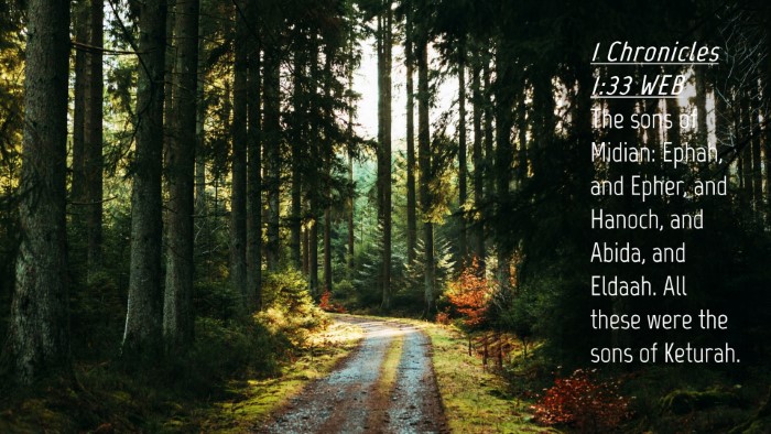 Picture 04 - 1 Chronicles 1:33 WEB Desktop Wallpaper - The sons of Midian: Ephah, and Epher, and Hanoch, - Desktop Bible Verse Wallpaper