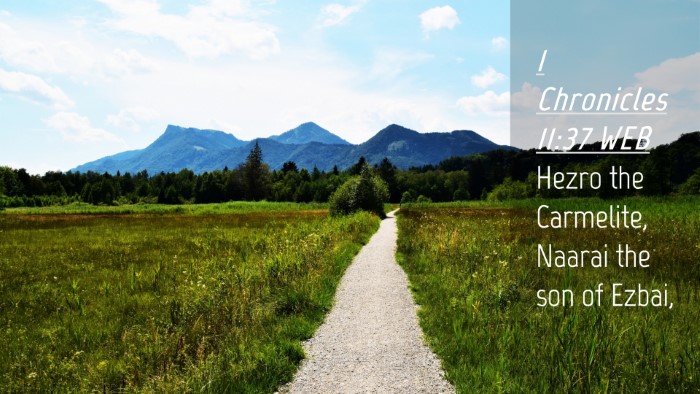 Picture 04 - 1 Chronicles 11:37 WEB Desktop Wallpaper - Hezro the Carmelite, Naarai the son of - Desktop Bible Verse Wallpaper