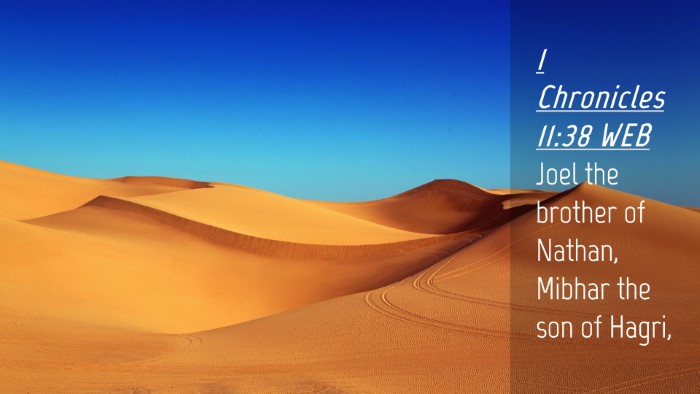 Picture 04 - 1 Chronicles 11:38 WEB Desktop Wallpaper - Joel the brother of Nathan, Mibhar the son of - Desktop Bible Verse Wallpaper