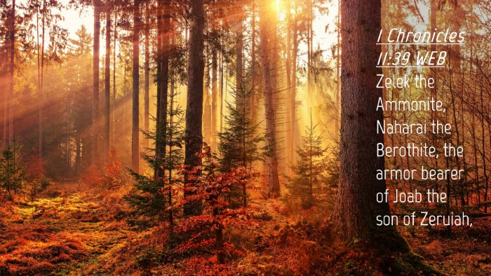 Picture 04 - 1 Chronicles 11:39 WEB Desktop Wallpaper - Zelek the Ammonite, Naharai the Berothite, the - Desktop Bible Verse Wallpaper