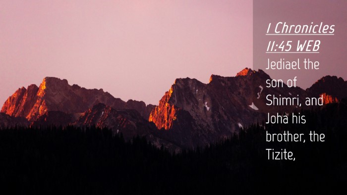 Picture 04 - 1 Chronicles 11:45 WEB Desktop Wallpaper - Jediael the son of Shimri, and Joha his brother, - Desktop Bible Verse Wallpaper