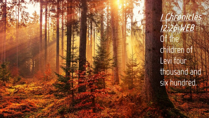 Picture 04 - 1 Chronicles 12:26 WEB Desktop Wallpaper - Of the children of Levi four thousand and six - Desktop Bible Verse Wallpaper