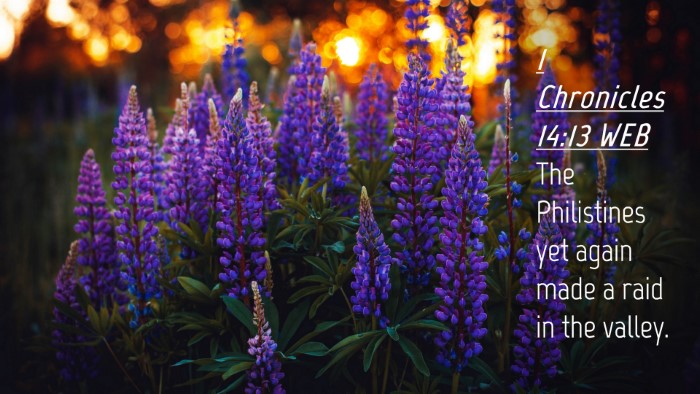 Picture 04 - 1 Chronicles 14:13 WEB Desktop Wallpaper - The Philistines yet again made a raid in the - Desktop Bible Verse Wallpaper