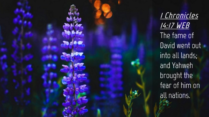 Picture 04 - 1 Chronicles 14:17 WEB Desktop Wallpaper - The fame of David went out into all lands; and - Desktop Bible Verse Wallpaper