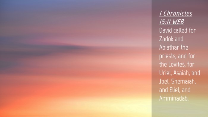 Picture 04 - 1 Chronicles 15:11 WEB Desktop Wallpaper - David called for Zadok and Abiathar the priests, - Desktop Bible Verse Wallpaper